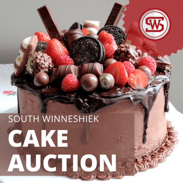 Cake Auction